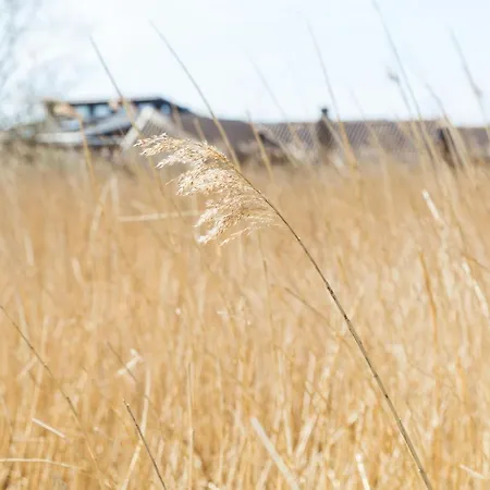 Renovated Wooden Near Child-friendly *
