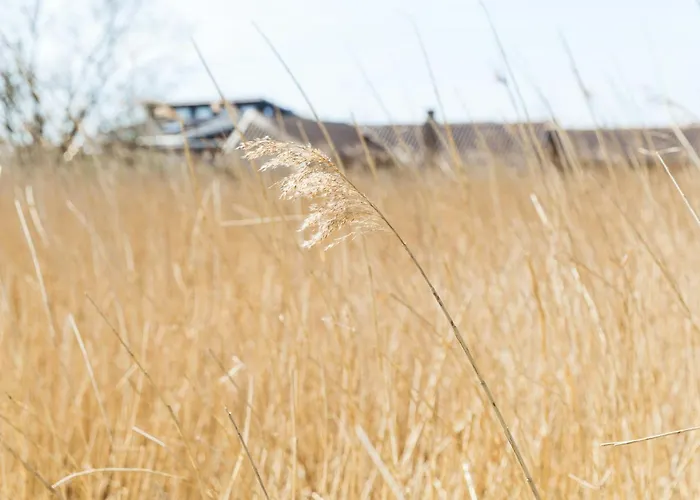 Renovated Wooden Near Child-friendly *